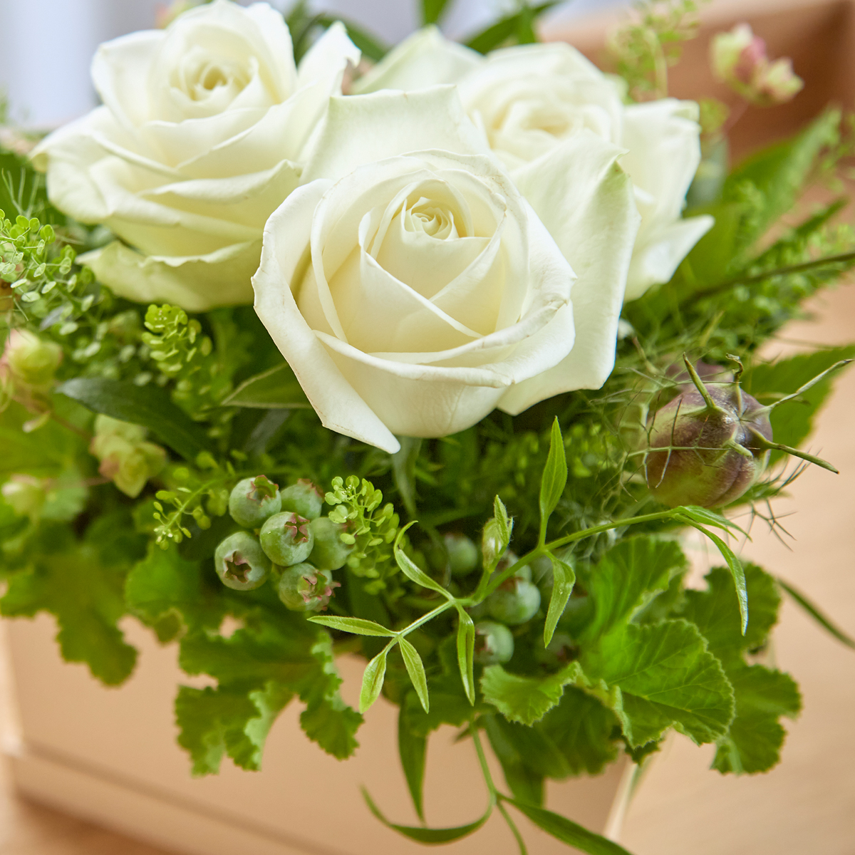 ことばの花箱 ［尊敬］白バラ | kusakanmuri（クサカンムリ）の