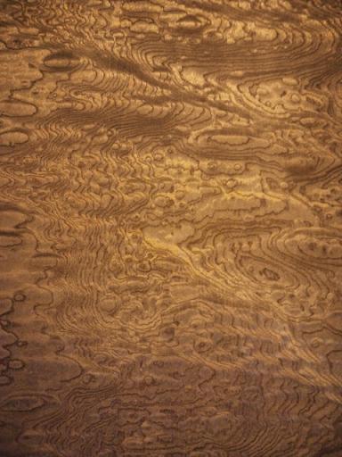 ケヤキの玉杢 | 切々と語る楔（せつせつとかたるせつ）