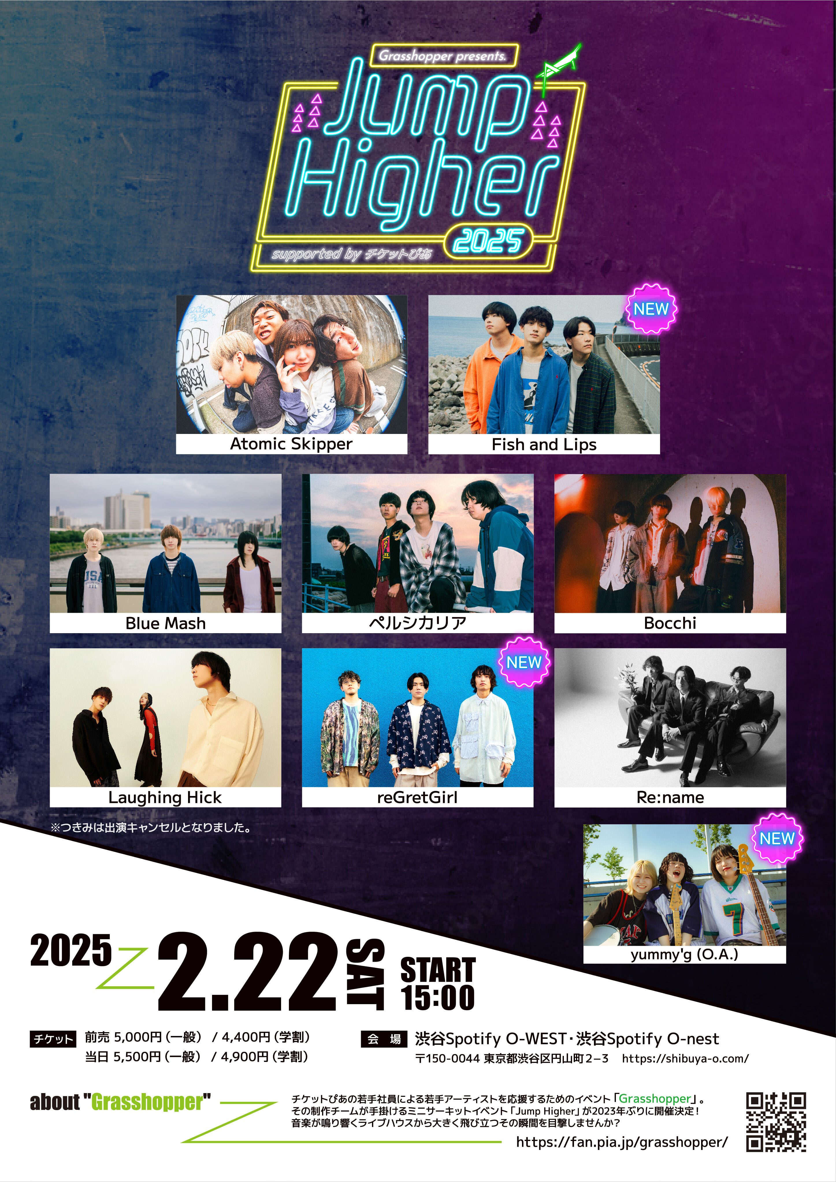 SUMMER GAME チケット 2019年8月22日 半券 NEMOPHILA SUMMER GAME