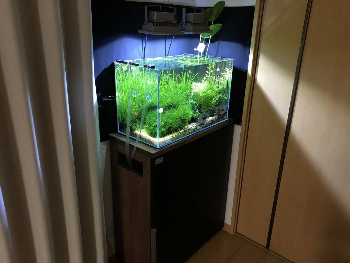 ADA キューブガーデン 60×30×36cm