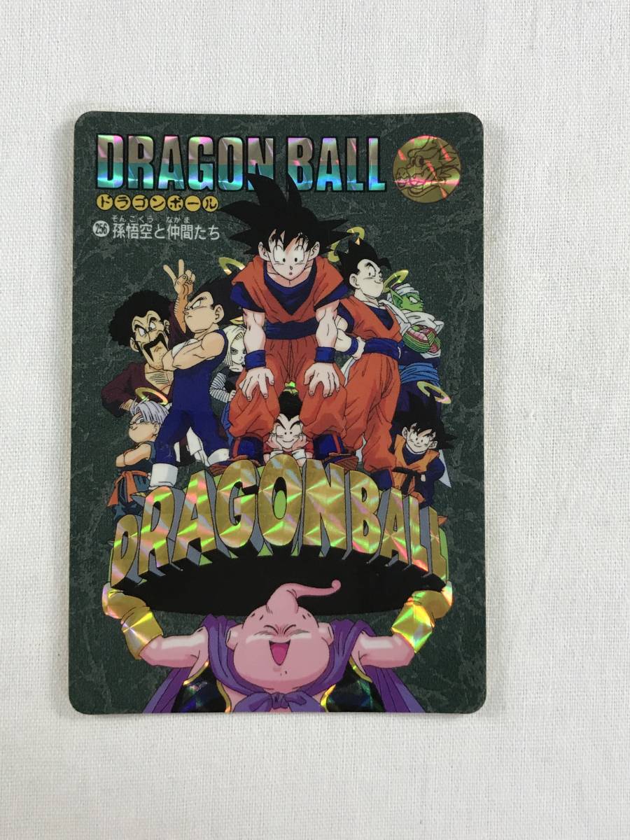 ドラゴンボールZ ビジュアルアドベンチャーカード 171 秘められた