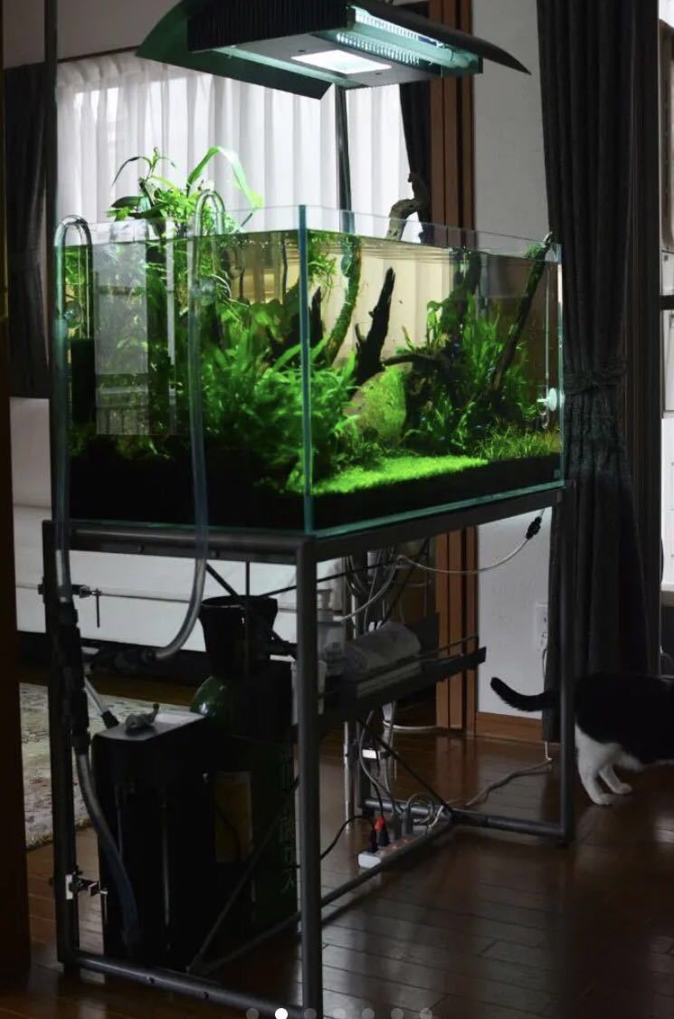 おりゆい様】ADA 90cm水槽 おりゆい様】ADA 90cm水槽 おりゆい様】ADA