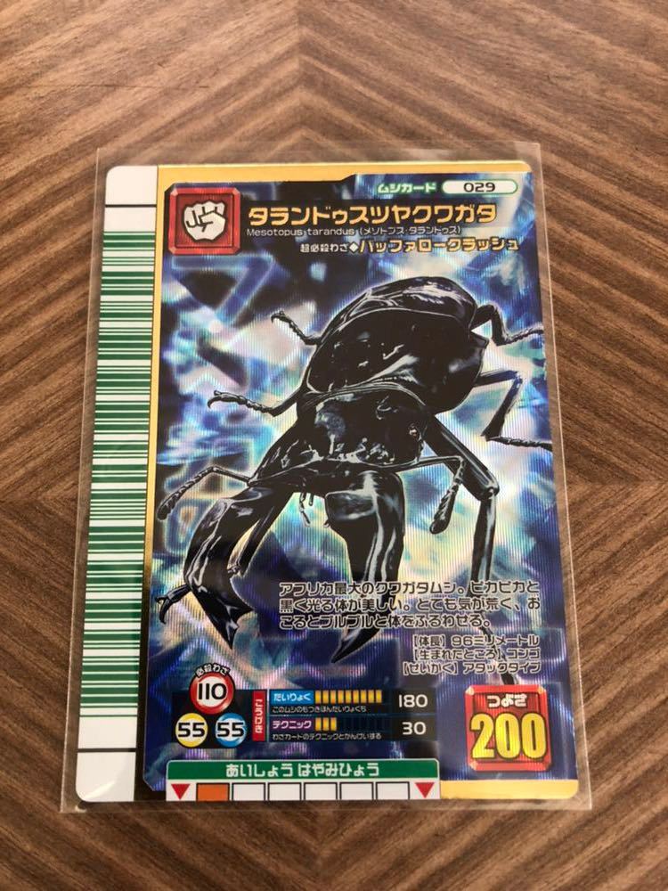PSA10タランドゥスツヤクワガタ2007 ファースト