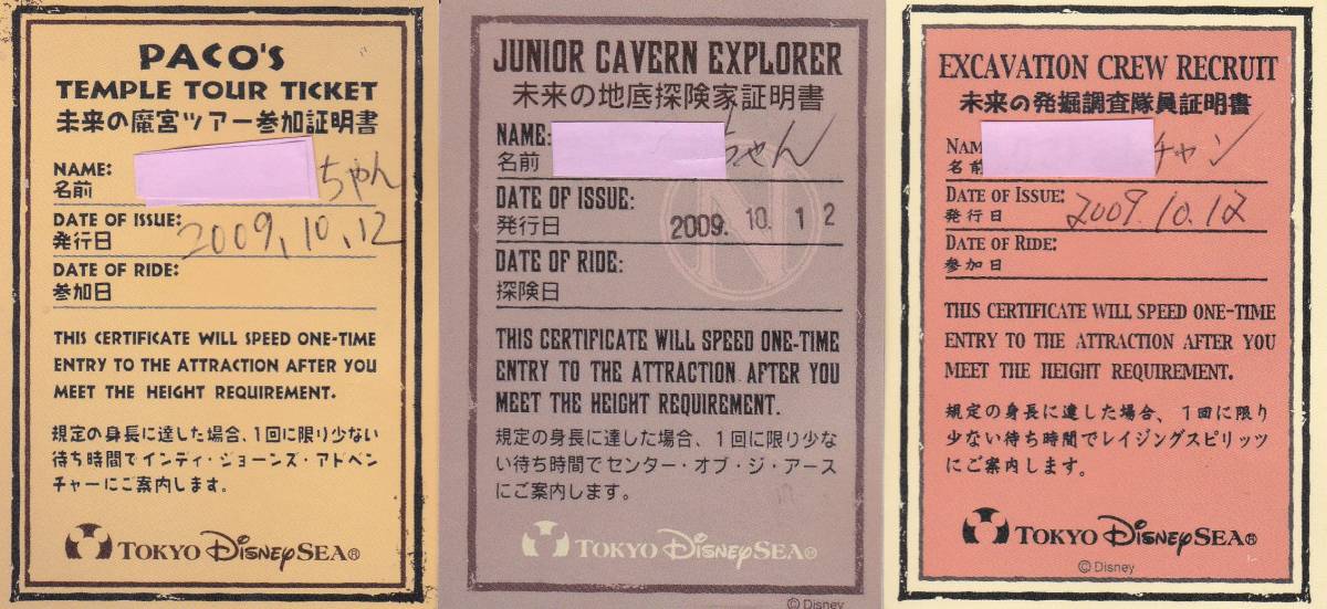 TDS 使用済み ストームライダー チャレンジャー証明書ディズニーシー