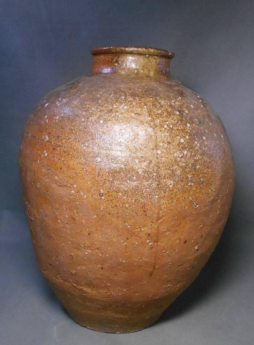 16世紀桃山時代岐阜県定林寺窯天目茶碗出土品