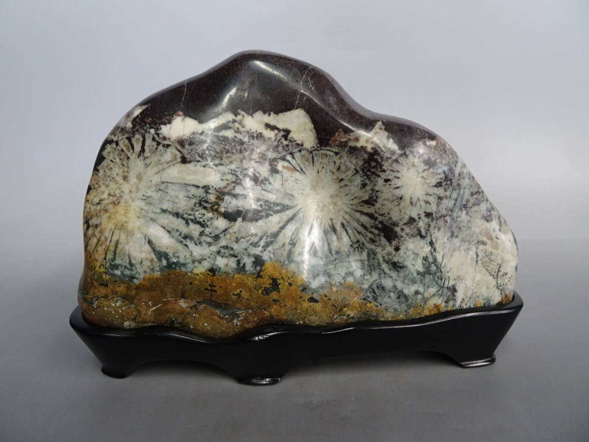 菊花石 販売 水石 奇石 鑑賞石 天然石 自然石 多摩川石 欅材石台付