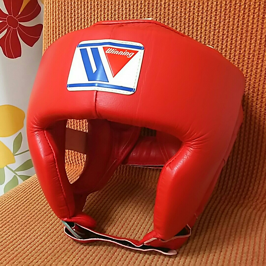 WINDY（ウィンディ）ボクシング ヘッドガード(フルフェイスタイプ) M