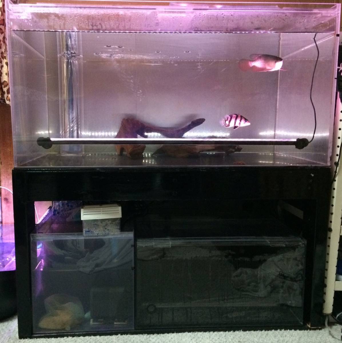 特注品】90cmアクリルWオーバーフロー水槽(本水槽+リフジュウム水槽