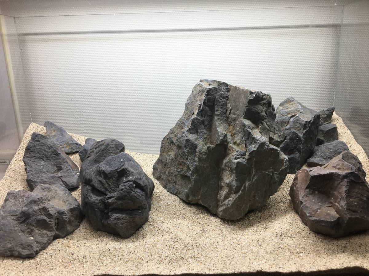 ADA 万天石 特大 親石 石組レイアウト 水草 水槽 アクアリウム 龍王石