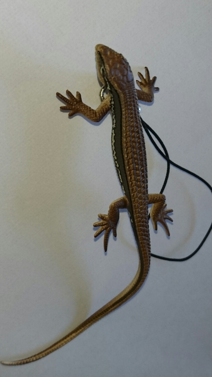 ♯Gti10IVネイチャーMONOトカゲヤモリストラップ マグネット14種