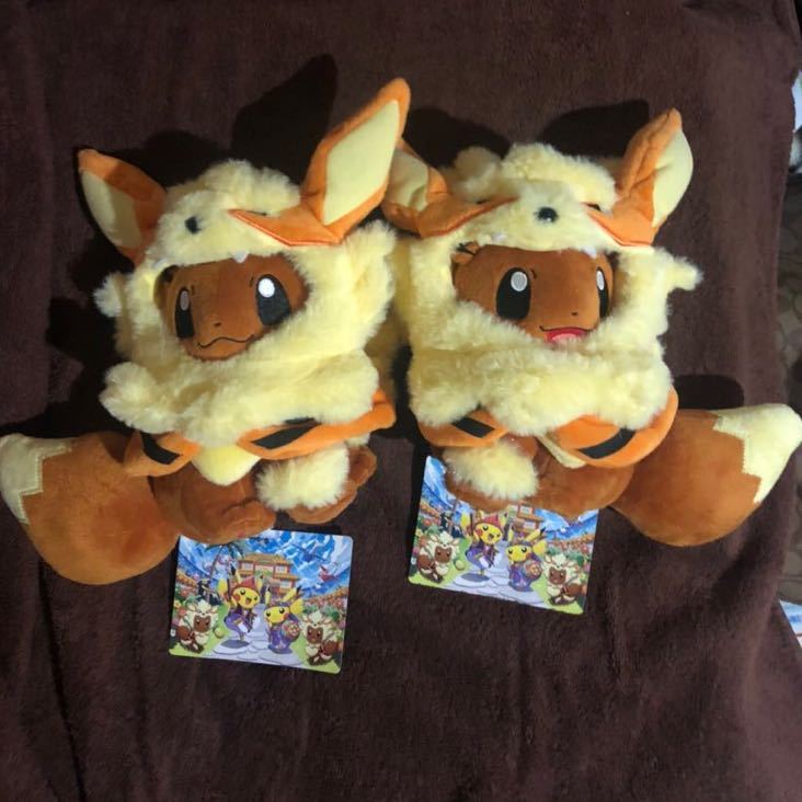 ポケモンセンターオキナワ沖縄限定ウインディのポンチョイーブイ