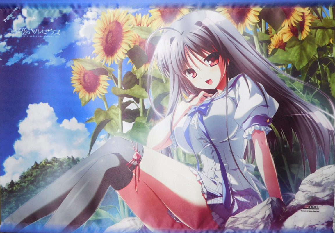 リセ 夏空のペルセウス 遠野 恋 庄名泉石金箔押しサイン リセ 夏空