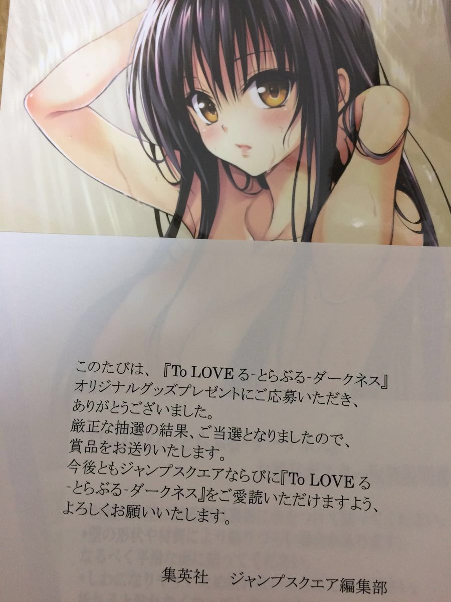 To LOVEるダークネス クリアファイル 古手川唯