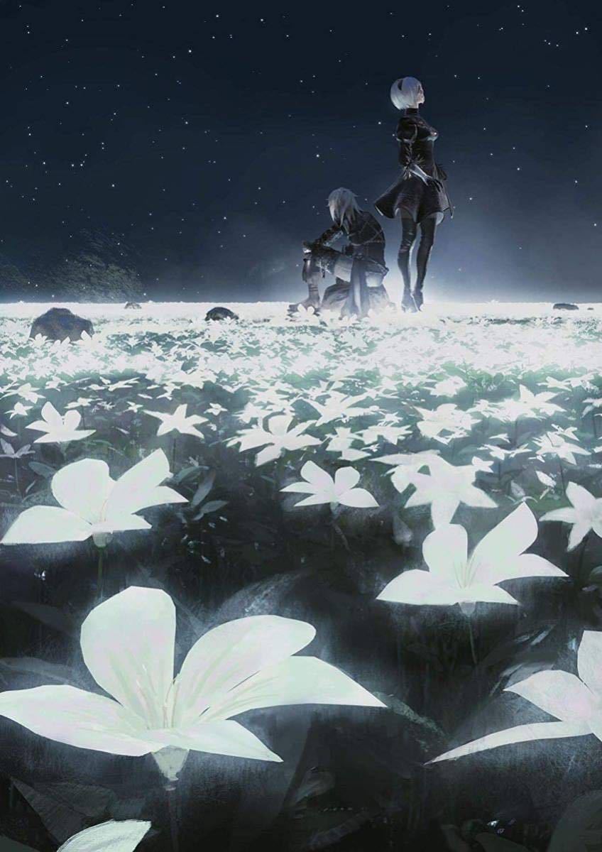 新品 ニーア 今ハ星モ無ク 複製原画 NieR Art 限定品】複製原画「