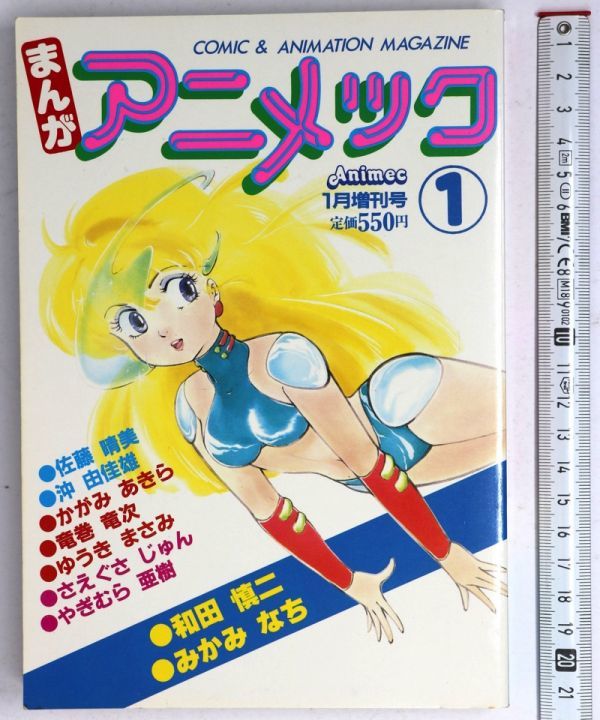 和田慎二 1987年カレンダー 【公式通販】