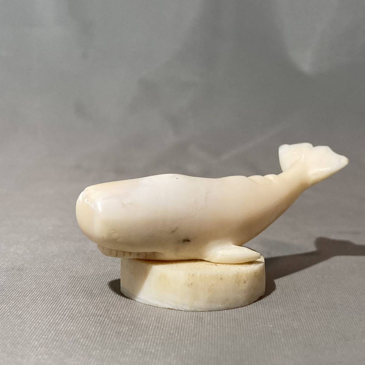 極上】マッコウクジラの歯