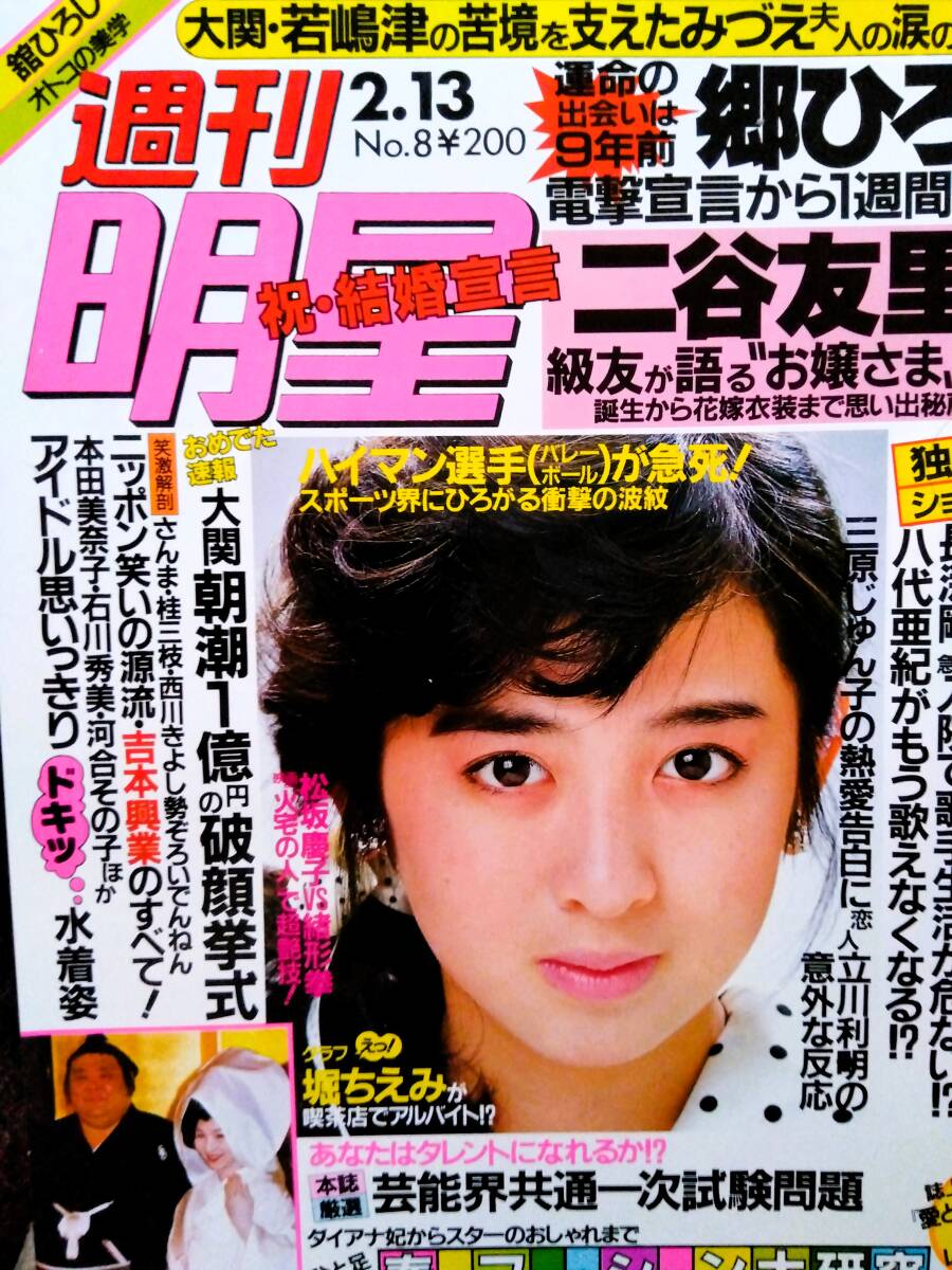 画像確認用出品】明星 ヘアカタログ 87冬号 1987 本田美奈子 渡辺
