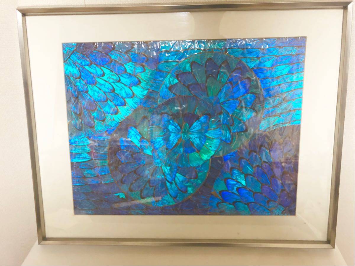 蝶絵画蝶の羽羽根細工バタフライアート
