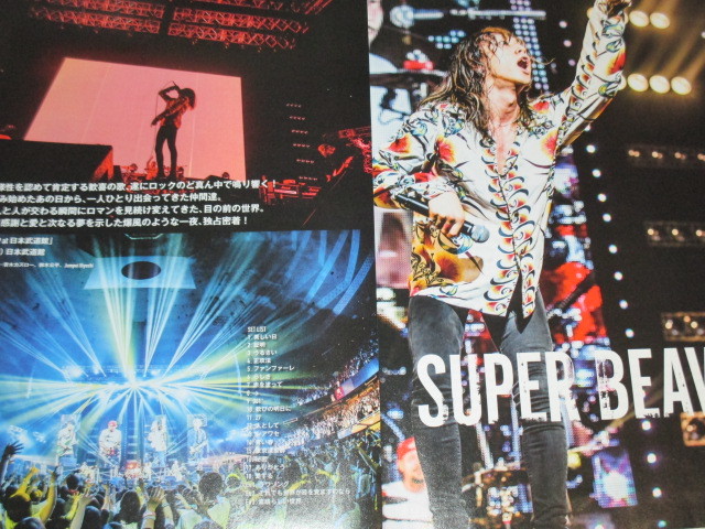 SUPERBEAVER 渋谷龍太 パネル SUPER BEAVER 渋谷龍太 パネル SUPER