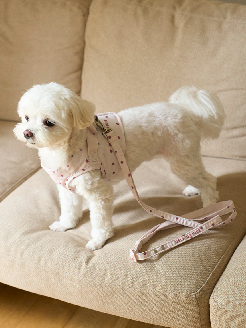 CAT&DOG】モチーフ柄ハーネス(ハーネス・リード)｜ルームウェア