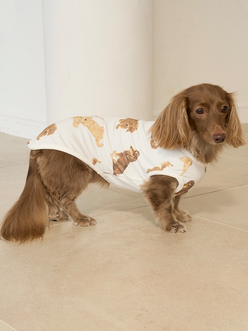 すべてのカテゴリ【ジェラート ピケ キャット＆ドッグ】シュナウザー