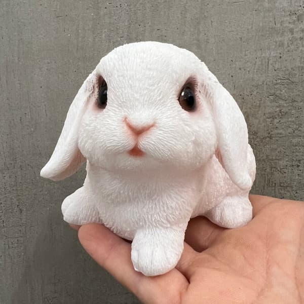 園芸ネット本店｜WooBia：お座りアメリカンファジーロップ 白 ライト