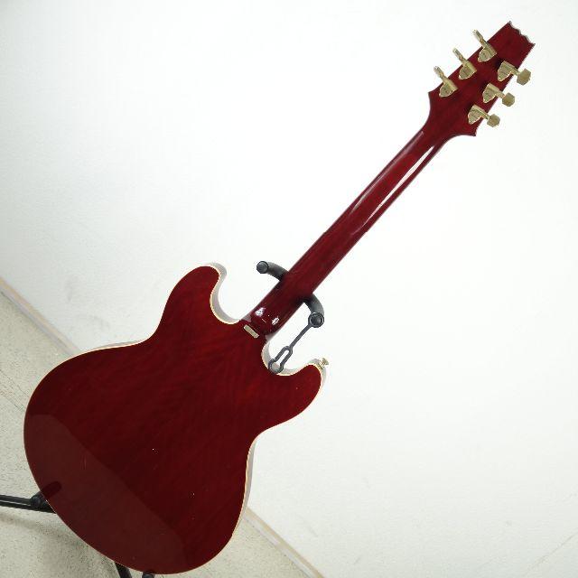 Aria Pro II TA-550 セミアコースティックギター／ソフトケース付 Aria