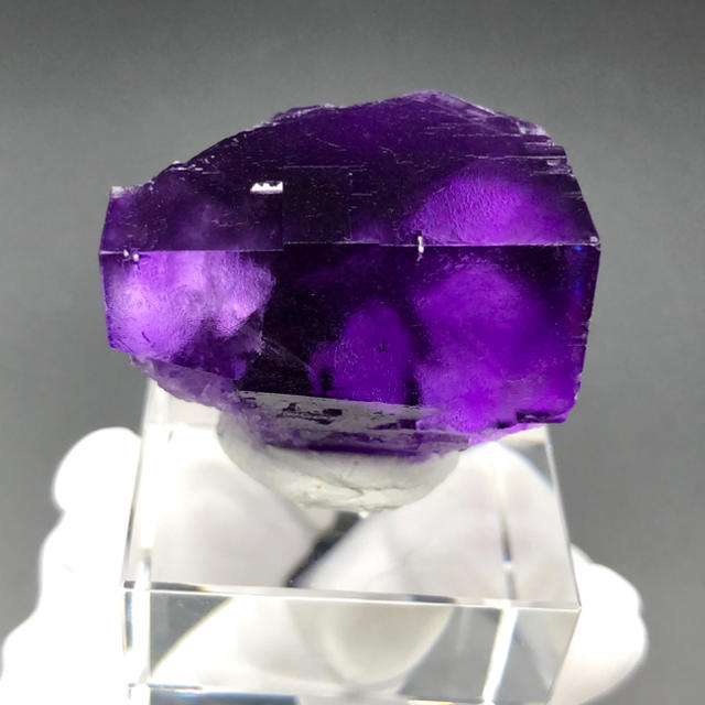 アメリカ イリノイ州 Minerva No. 1 Mine産 イエロー×ブルーフロー