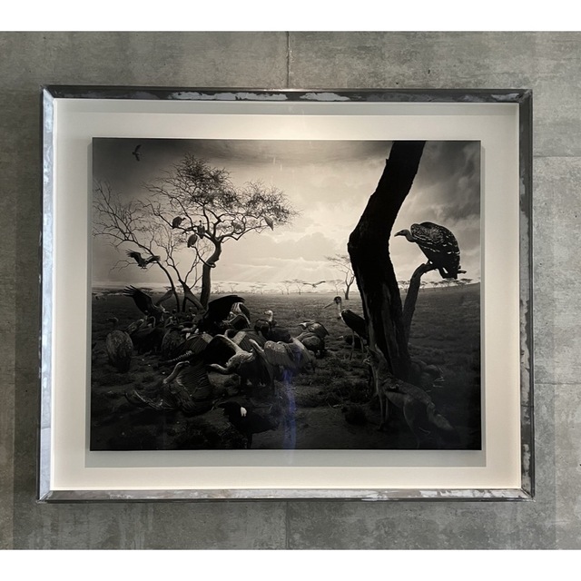 新品 コレクション 杉本博司 ハイエナ、ジャッカル、コンドル 数量限定