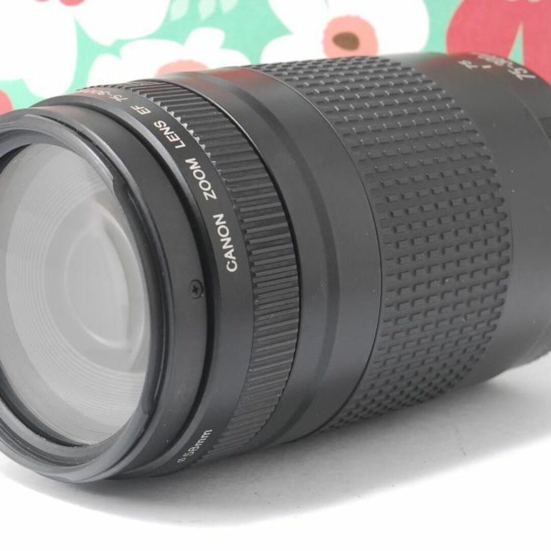 10月18日限定【超望遠レンズ】Canon EF 75-300mm IS USM 10月11日限定