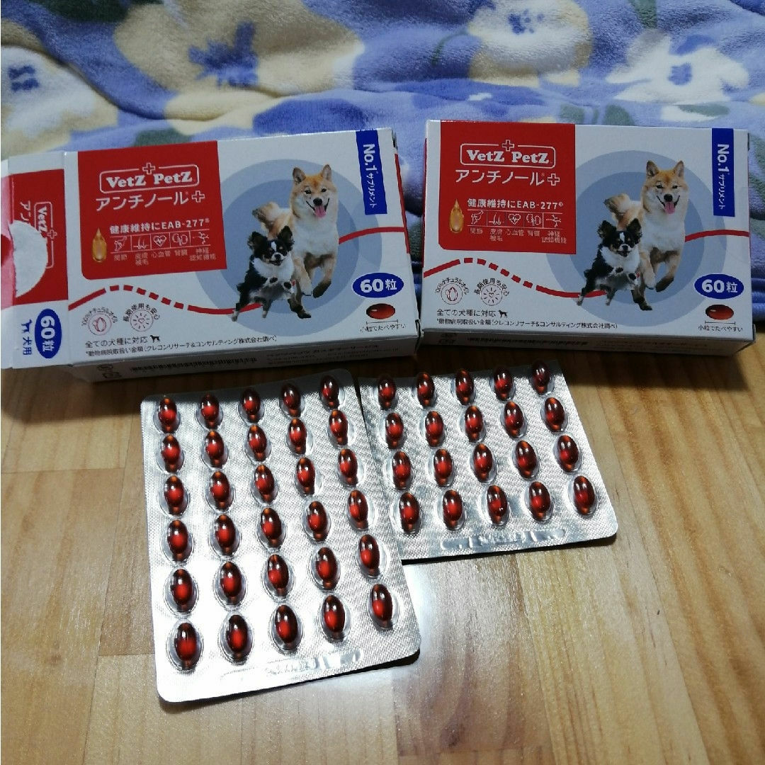 アンチノールプラス 110粒