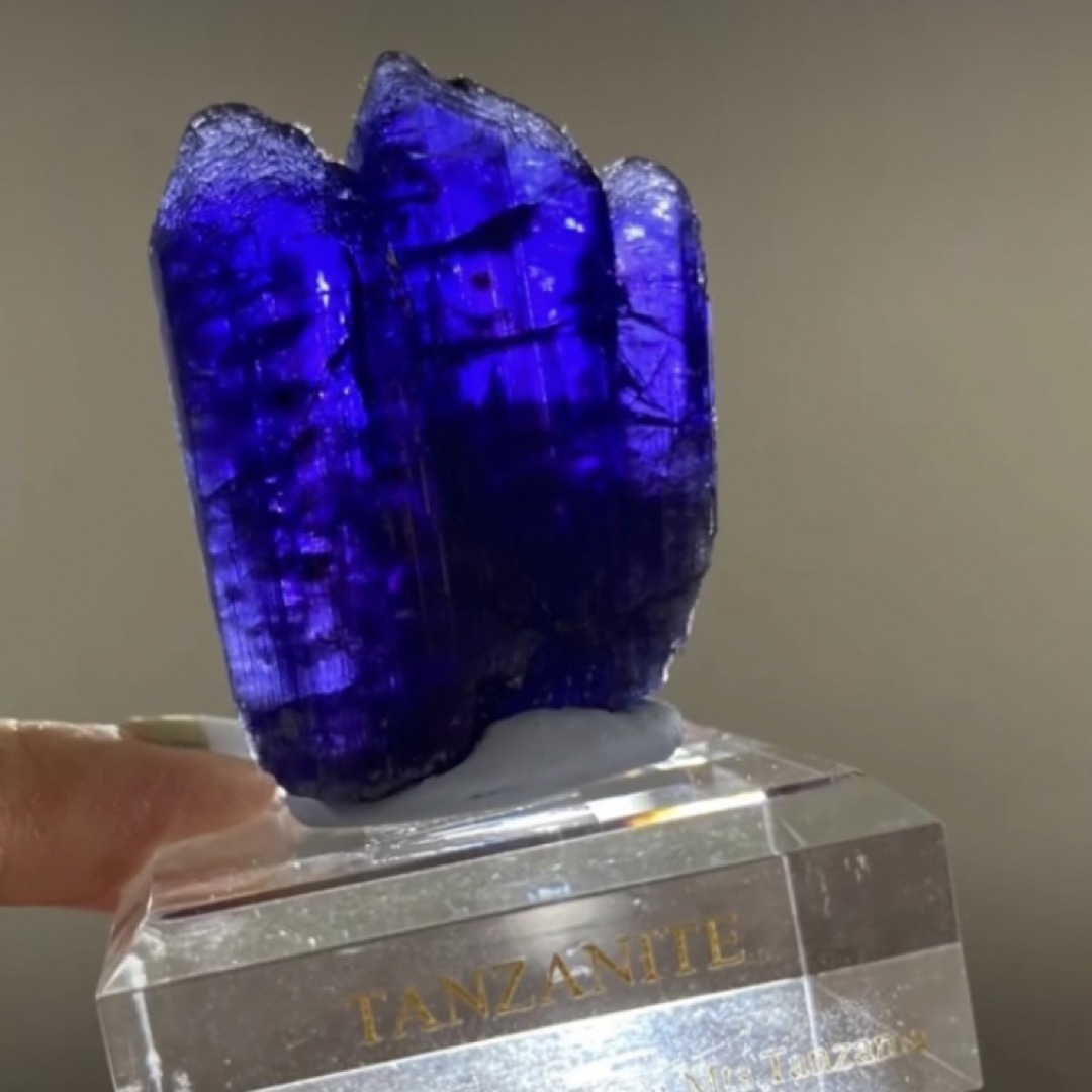 アンティークラム羊シープパールブルーイースターグリーディングカード