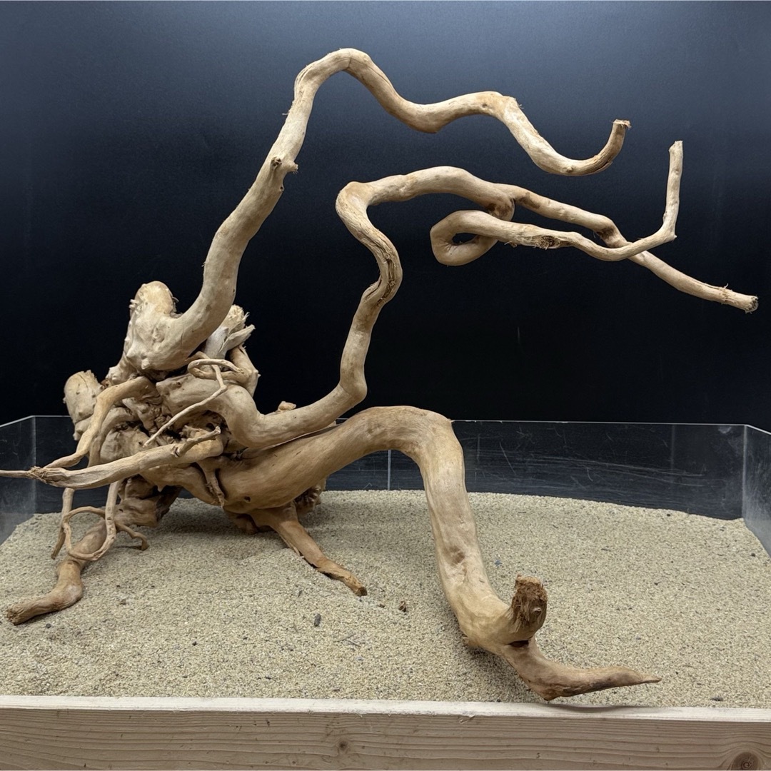 MDW-7000 特大ブランチウッド 流木 枝流木 アクアリウム