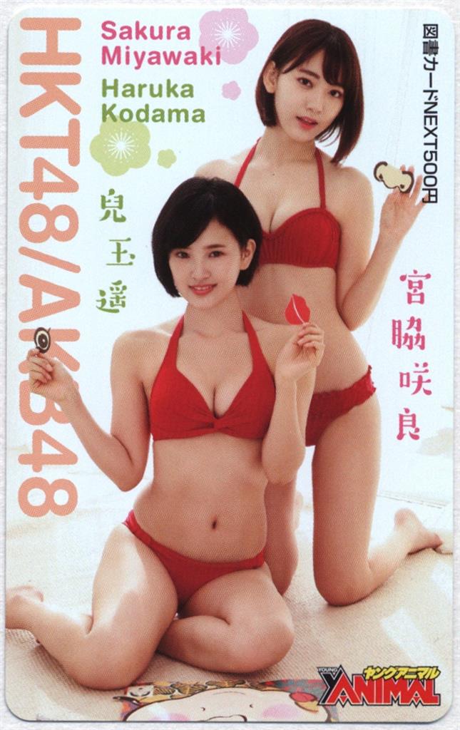 ヤングアニマル HKT48 AKB48(宮脇咲良 兒玉遥) 図書NEXT