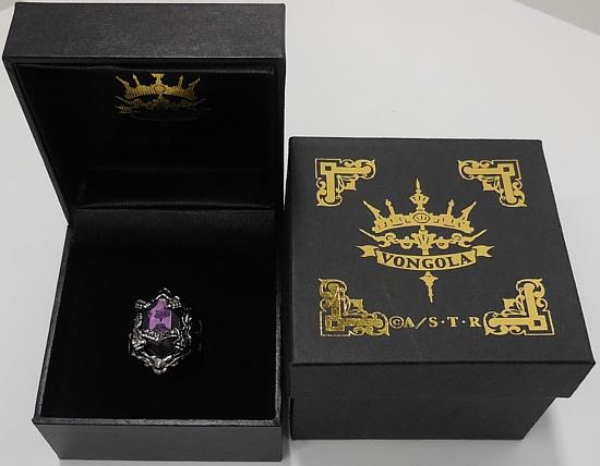 REBORN ボンゴレ匣 匣ボックスコレクション リング 雲雀恭弥 雲 10年後