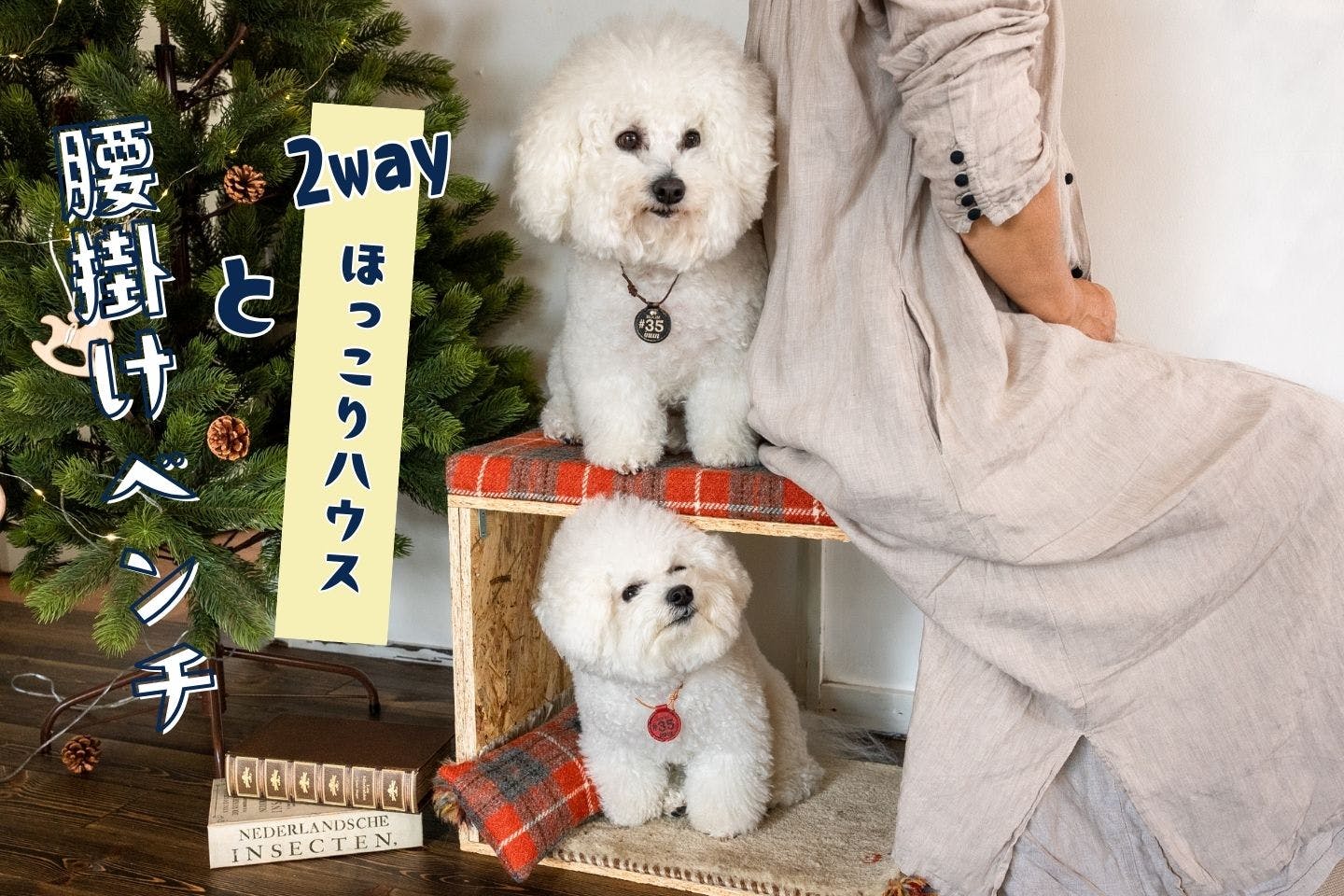 愛犬と使える2wayインテリア、おしゃれなペットハウス＆スツールを