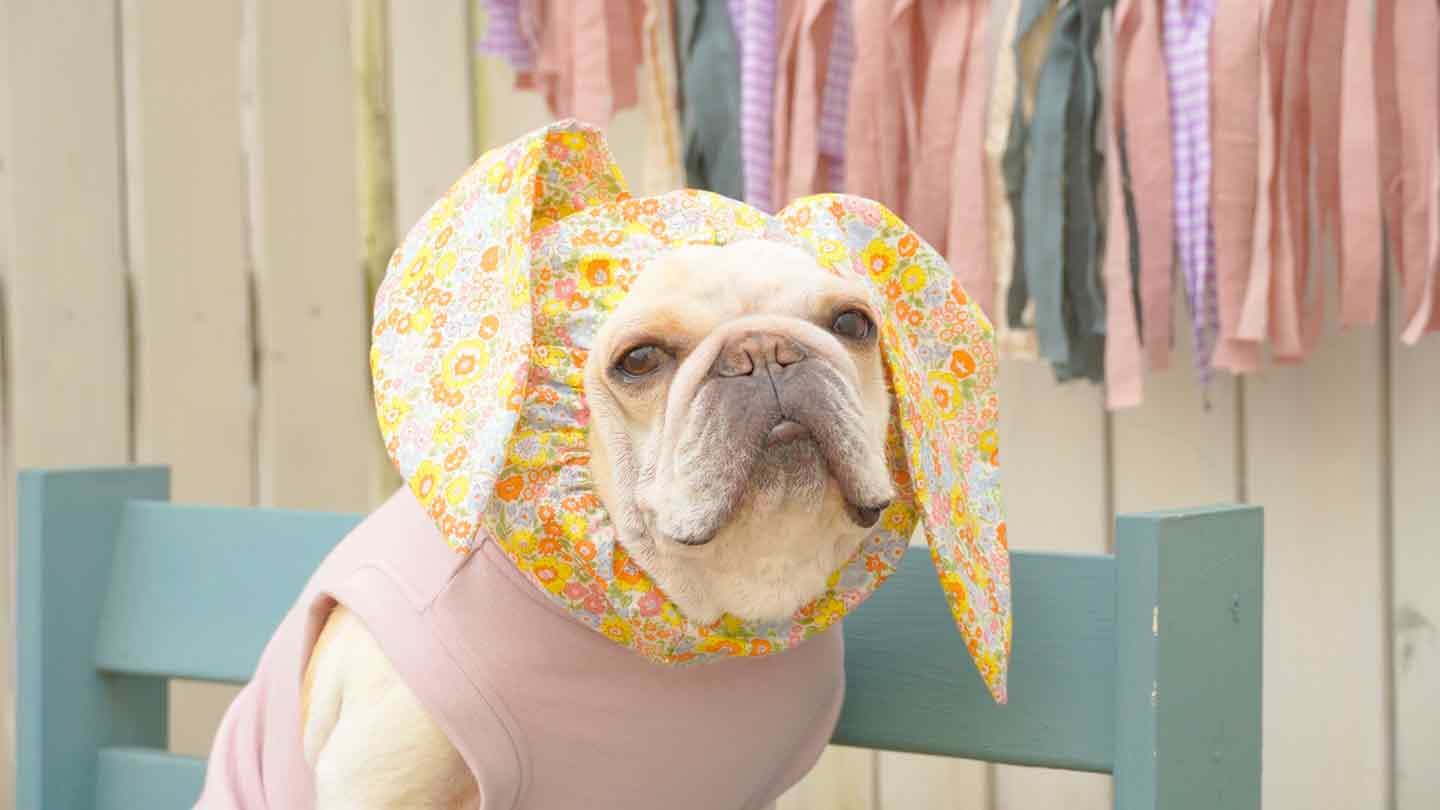 犬服ハンドメイドペット用品♡ラビットファー♡ウサギタンク❣️感謝