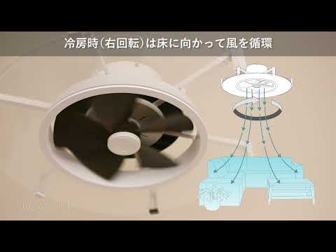 Modern Collection パネライトサーキュレーター JAVALO ELF JE-CF029