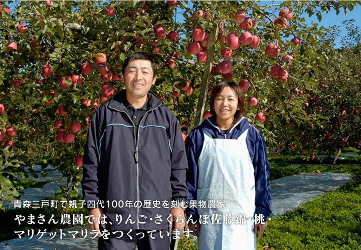 やまさん農園三戸の＜特選＞サンつがる約10kg約32-36個L～LL玉