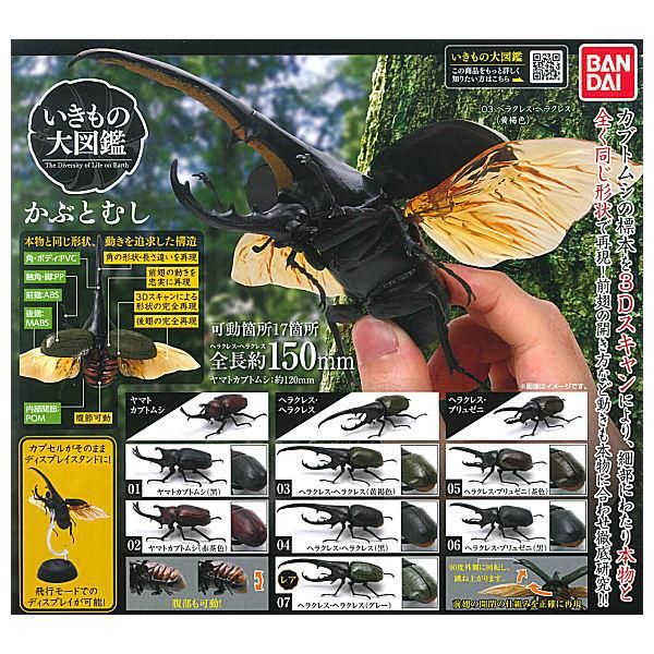 3セット】10リットルケース入☆プレミアム発酵カブトムシマット☆幼虫