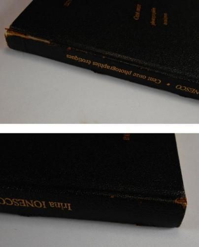 貴重です。イリナ・イオネスコのオリジナルプリント「エヴァ」本物保証