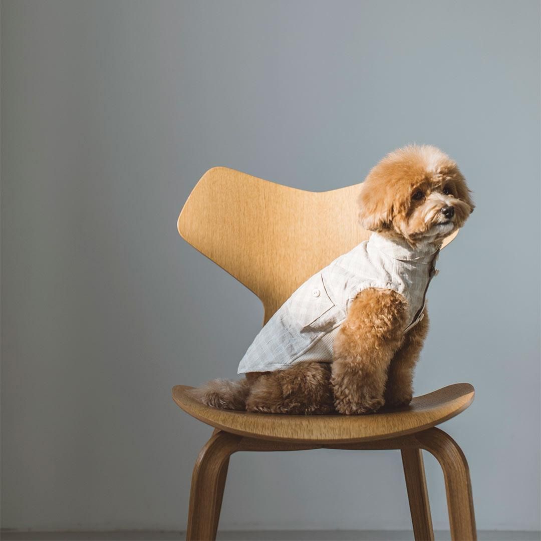 ドビーチェックコットンリネンシャツ - ドッググッズ・猫グッズ通販