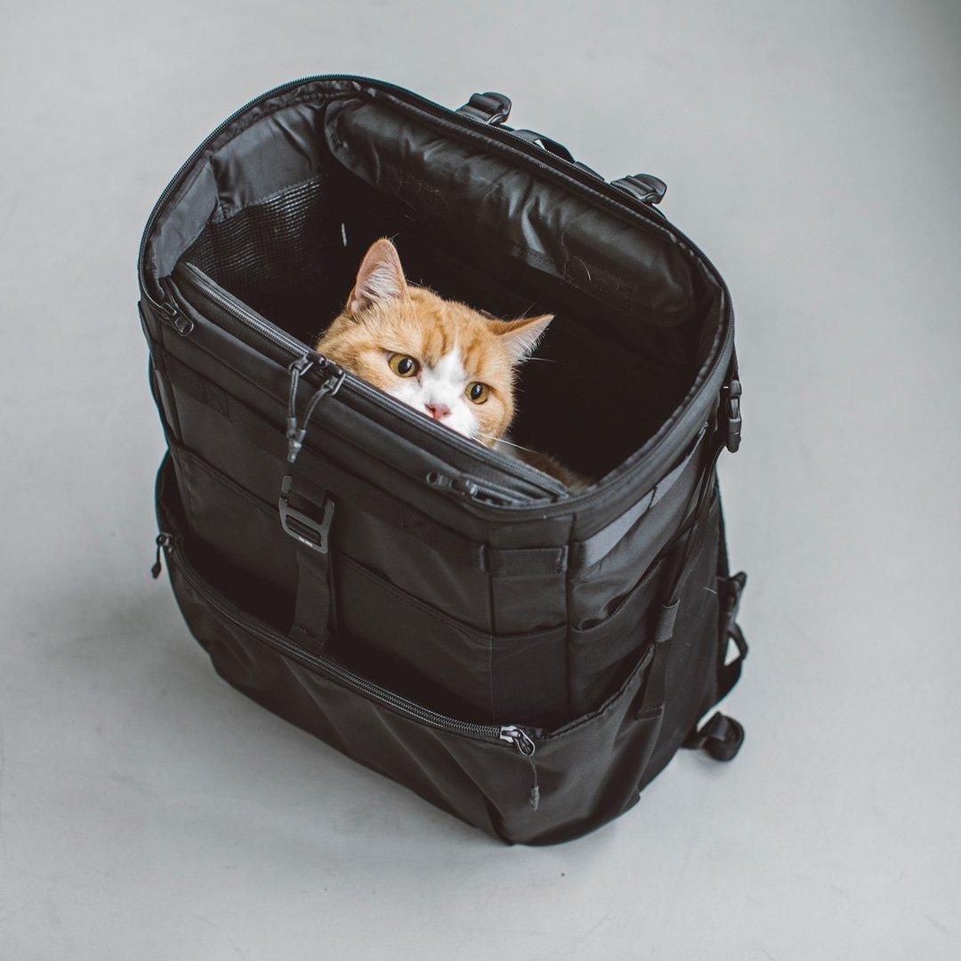 コンフォータブル リュックサック - ドッググッズ・猫グッズ通販 free