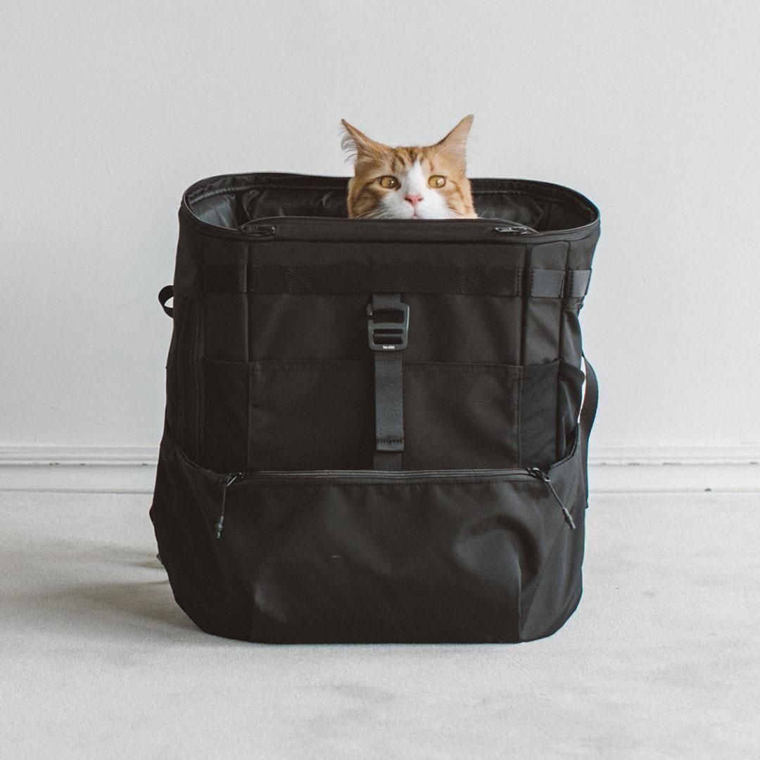 コンフォータブル リュックサック - ドッググッズ・猫グッズ通販 free