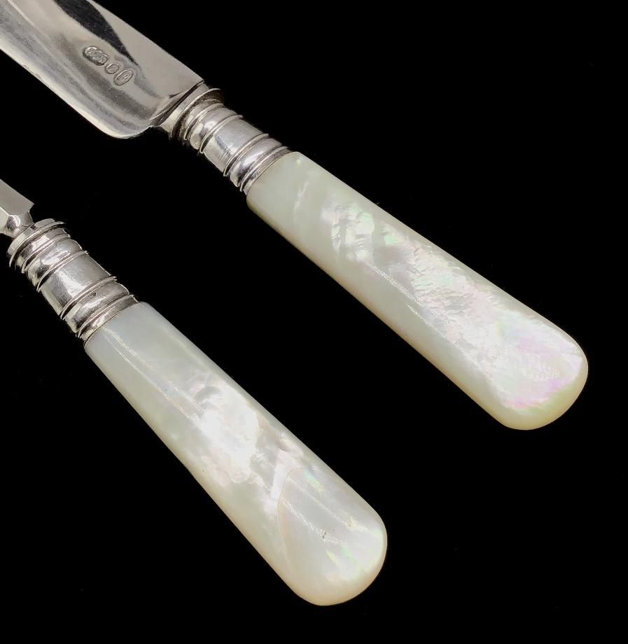 Allen & Darwin】【白蝶貝】ビクトリアンのパストリーセット12本 Allen