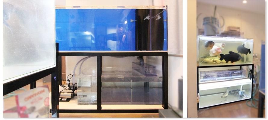 鉄製アングル水槽台のオーダーメイド製作｜東京アクアガーデン