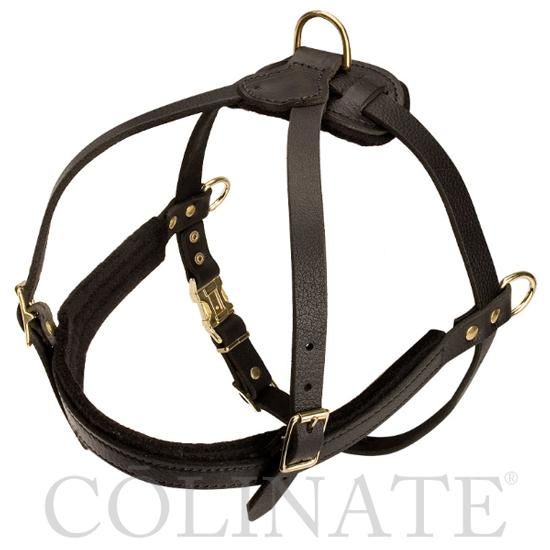 中型犬/大型犬/超大型犬用 ハーネス 高級本革製 / 警察犬種・作業犬種