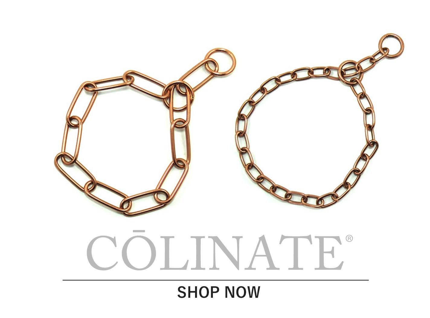 犬用 しつけ・訓練・引っ張り癖防止 首輪カテゴリー] -【大型犬のため