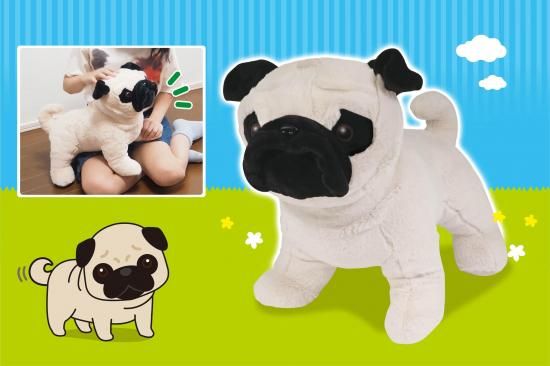 188030589.jpg?cmsp_timestamp=