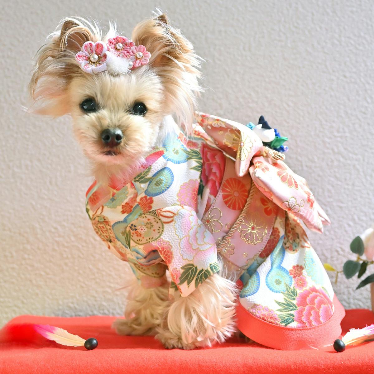 ONEKOSAMA OINUSAMA 振袖 着物風 ペットウェア クリーム 2L 小型犬